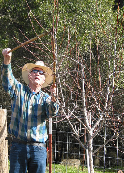 1 16 16 UCCE pruning workshop pic