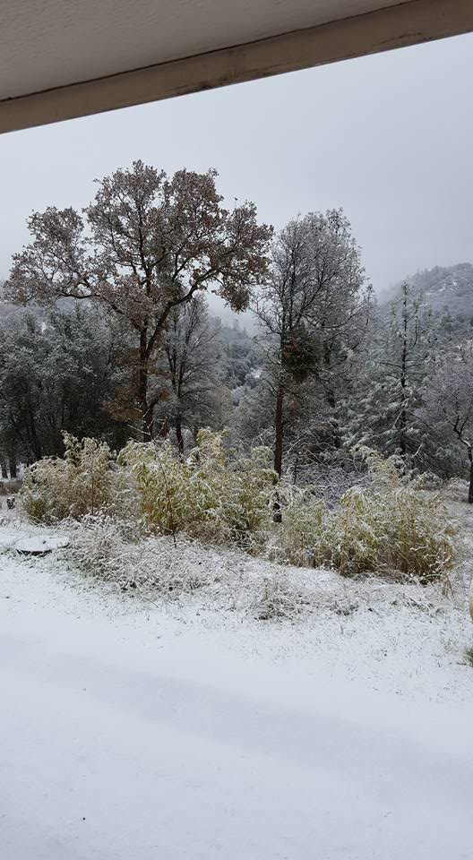 mariposa county snow december 24 2015 fs
