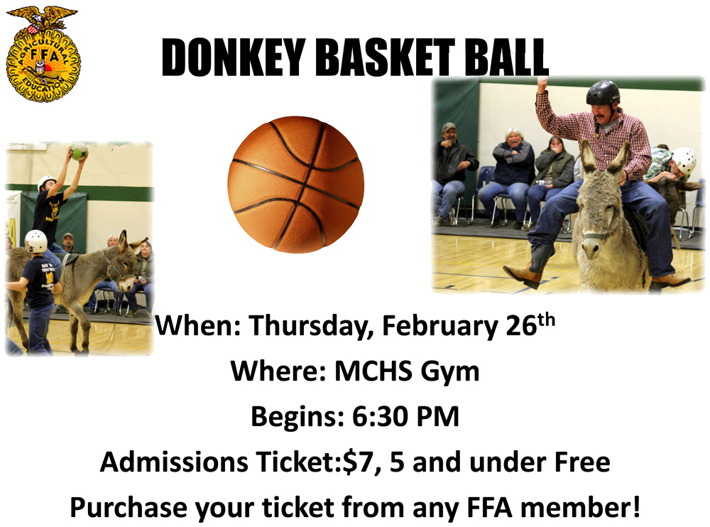 2-26-15-Donkey-Basketball