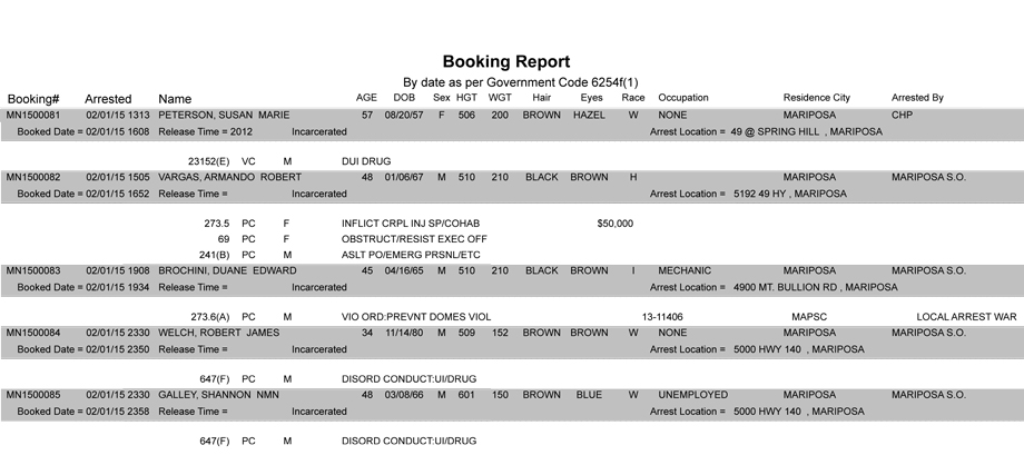 booking-report-2-1-2015