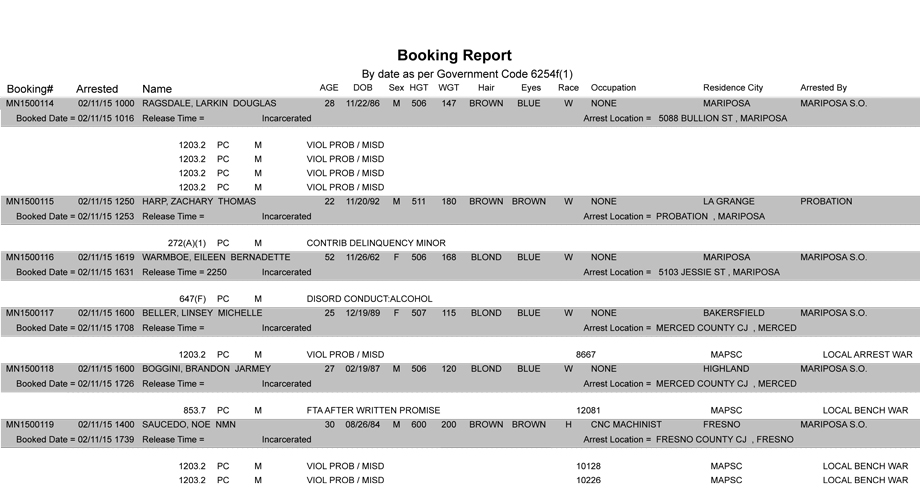 booking-report-2-11-2015