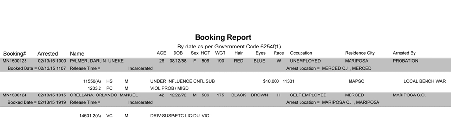 booking-report-2-13-2015