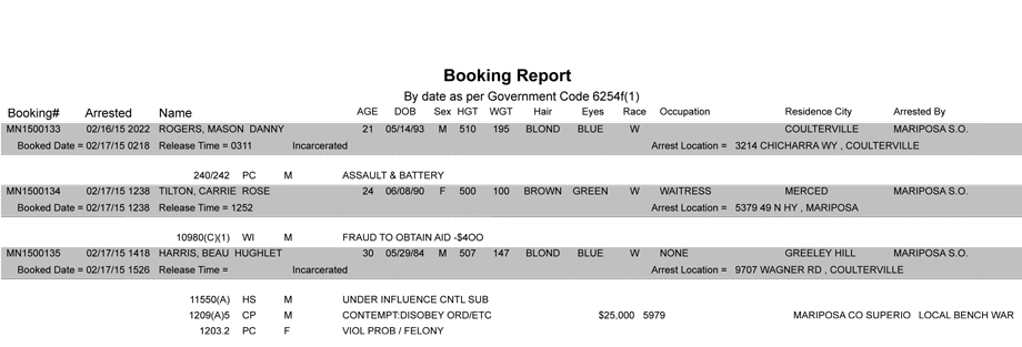 booking-report-2-17-2015