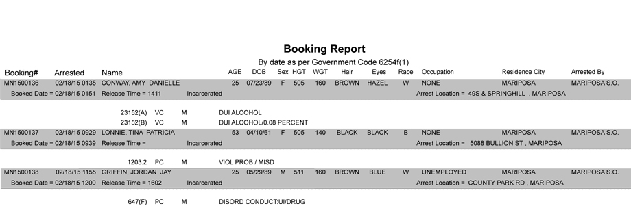 booking-report-2-18-2015