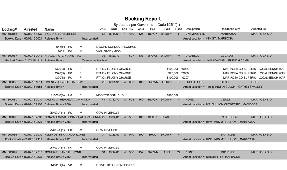 booking-report-2-2-2015