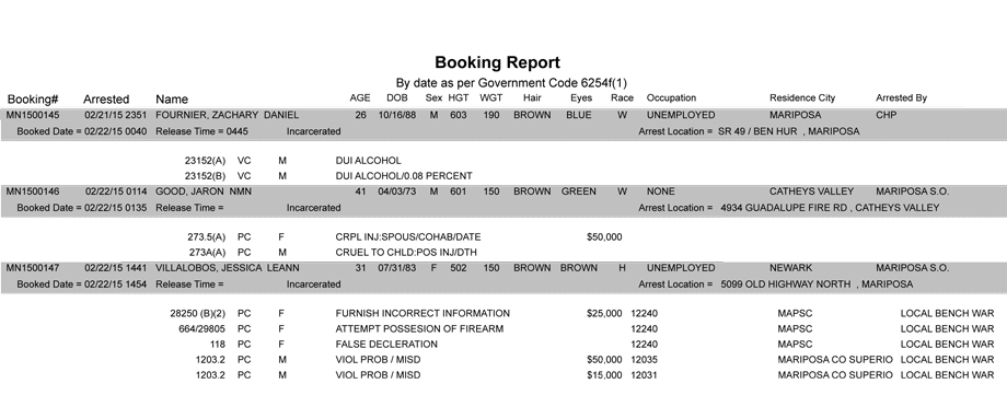 Unlocking the Secrets of the Peoria County Booking Sheet – A Window into the Lives of Those Behind Bars