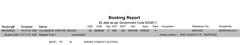 booking-report-1-11-2015