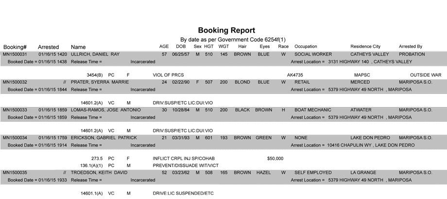 booking-report-1-16-2015