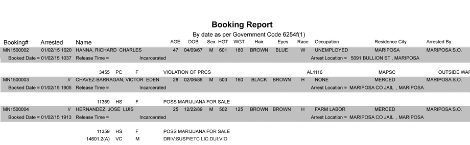 booking-report-1-2-2015