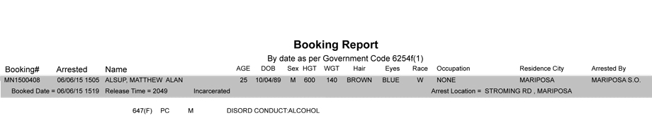 booking report 6 6 2015