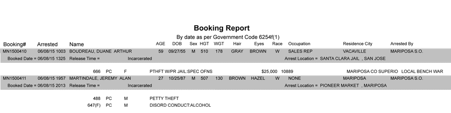 booking report 6 8 2015