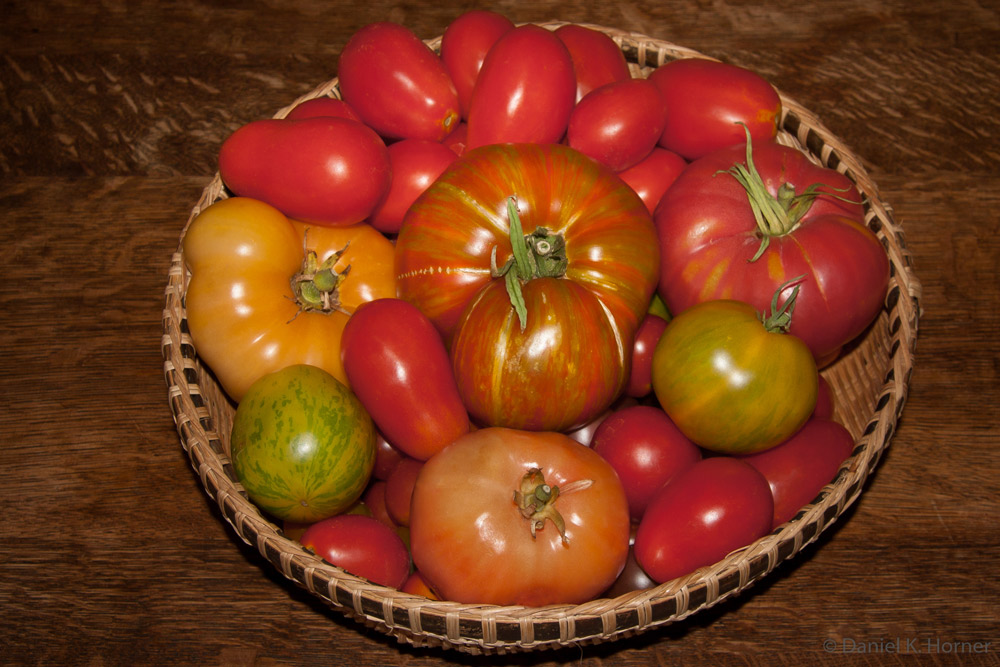 Tomatoes-1