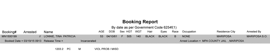 booking-report-3-19-2015