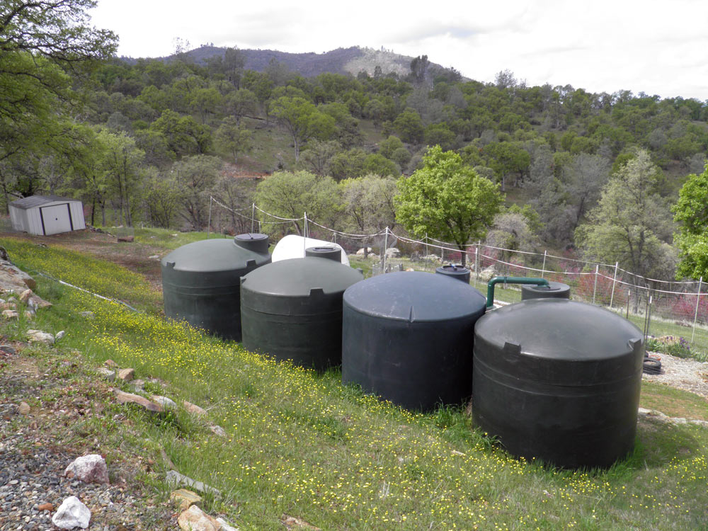 rain water ingrid tanks