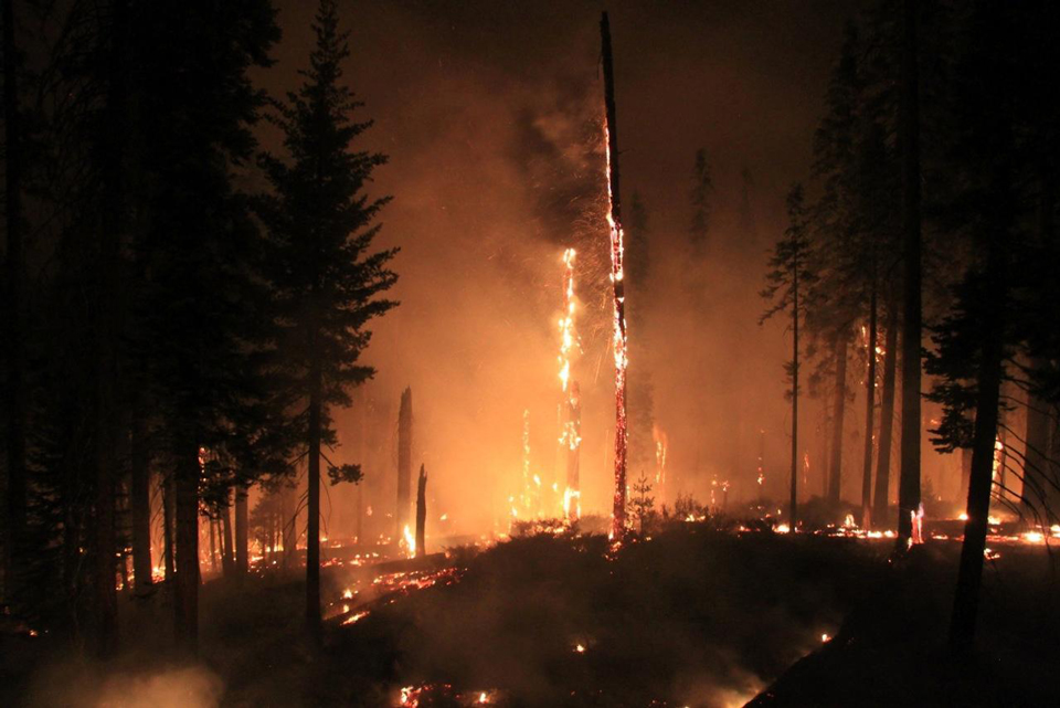 rough fire burnout credit forest service