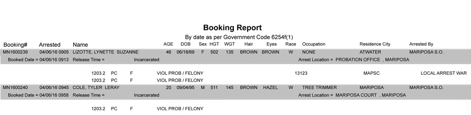 mariposa county booking report april 6 2016