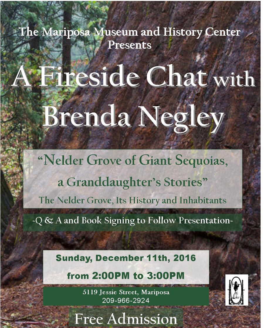 12 11 16 Brenda Negley Fireside Chat