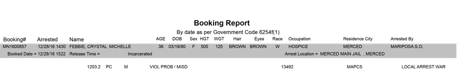 mariposa county booking report for december 28 2016