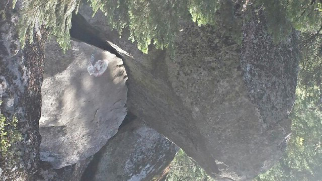 creepytings exhibit 8 yosemite before park defacement