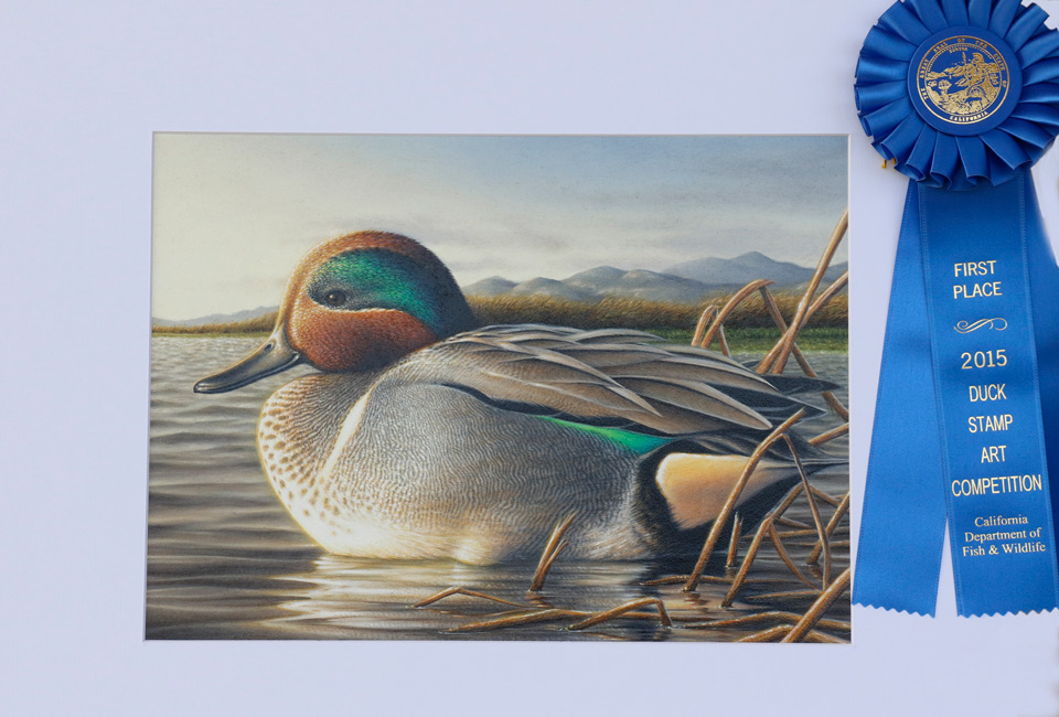 2015 first place cdfw duck stamp