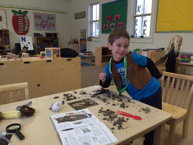 Aerlin with Owl Pellets