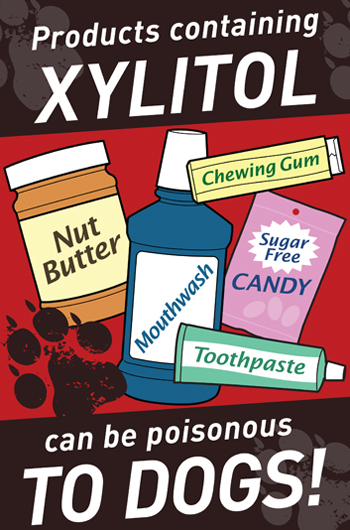 xylitol fda for dogs may be poisonous