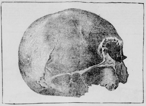 coulterville skull san francisco call january8 1898
