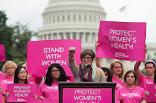 dem Women fighting