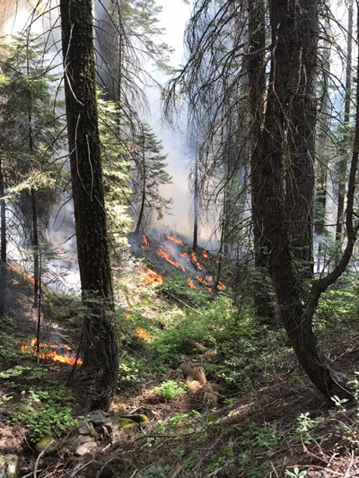 yosemite empire fire august 12 2017 credit yosemite fire and aviation