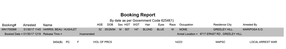 mariposa county booking report for january 30 2017