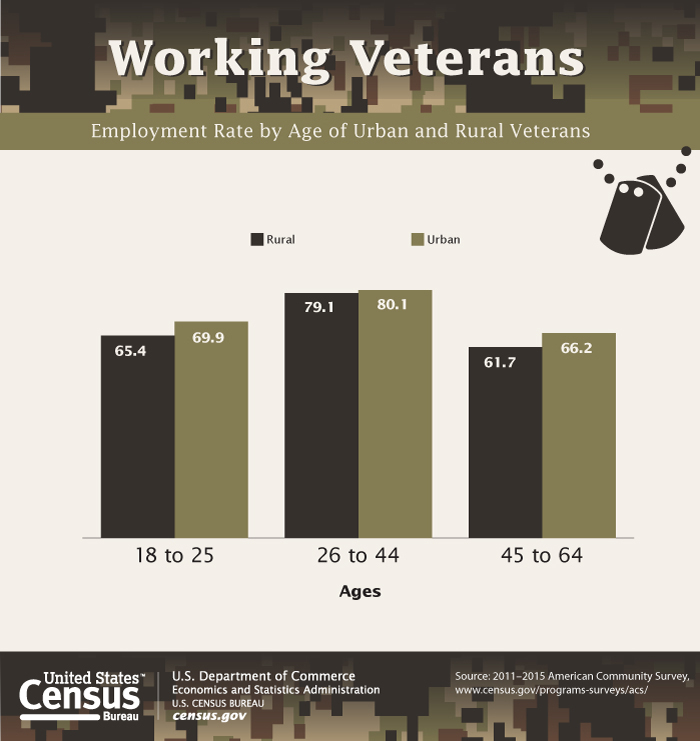 working veterans credit us census bureau