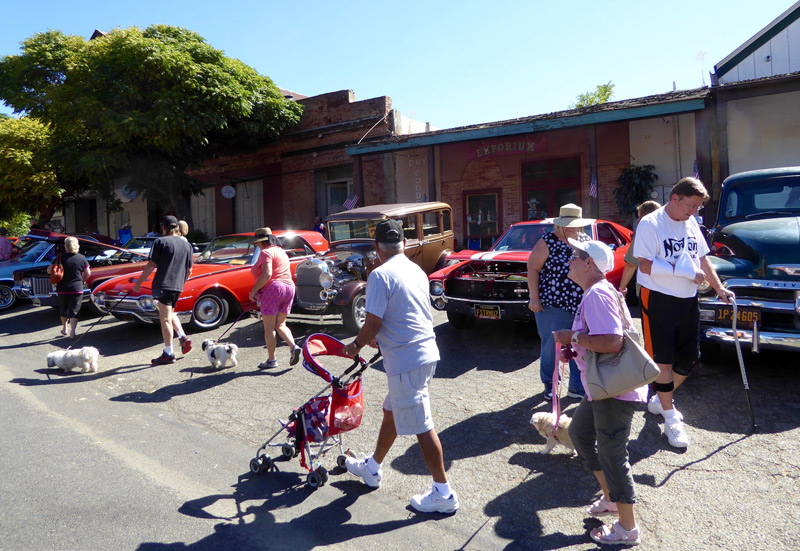 CoyoteFest 2016 Car Show