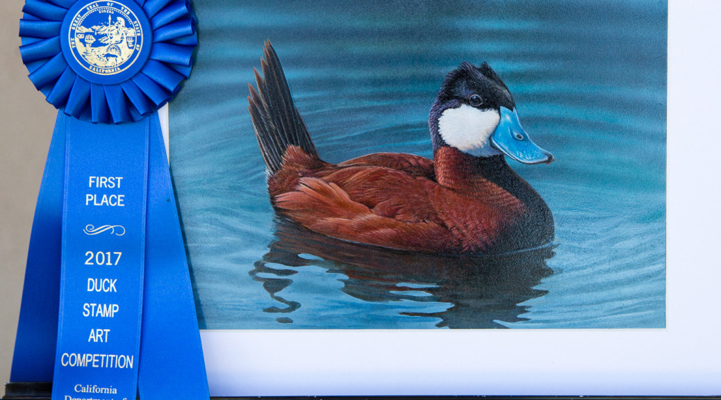 first place 2017 duck stamp caifornia john nelson harris