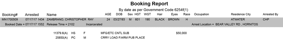 mariposa county booking report for july 17 2017.4