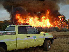 news california hogan fire