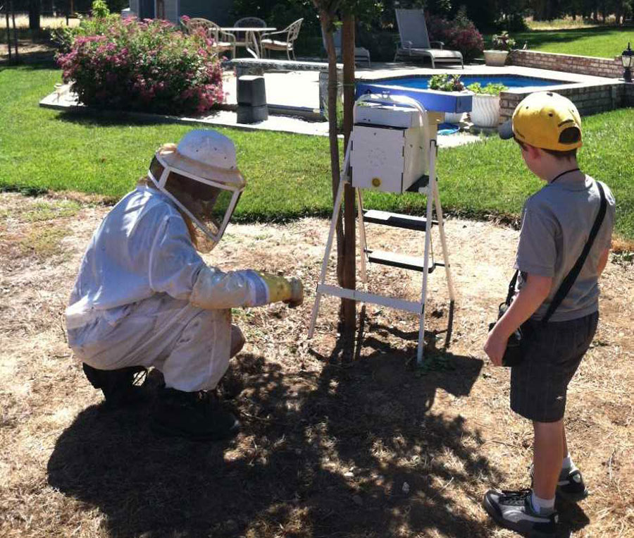 beekeeper Tim Bryant