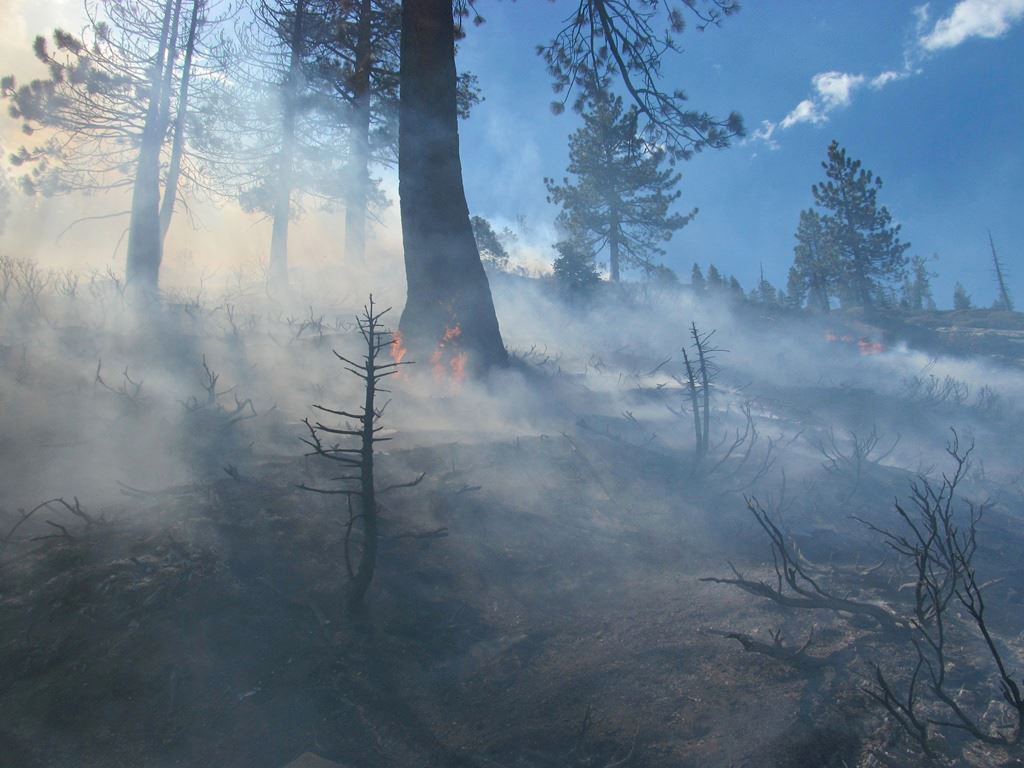 yosemite fire photo credit yosemite fire and aviation