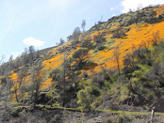 news california hills above merced river