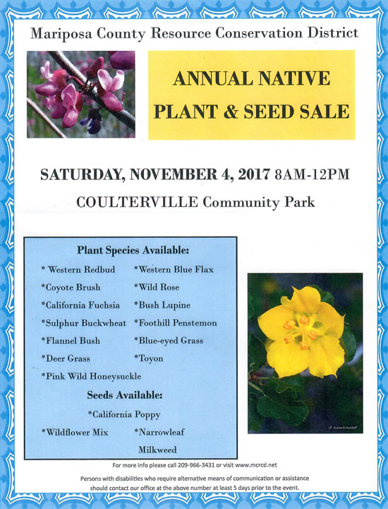 11 4 17 Plant Sale