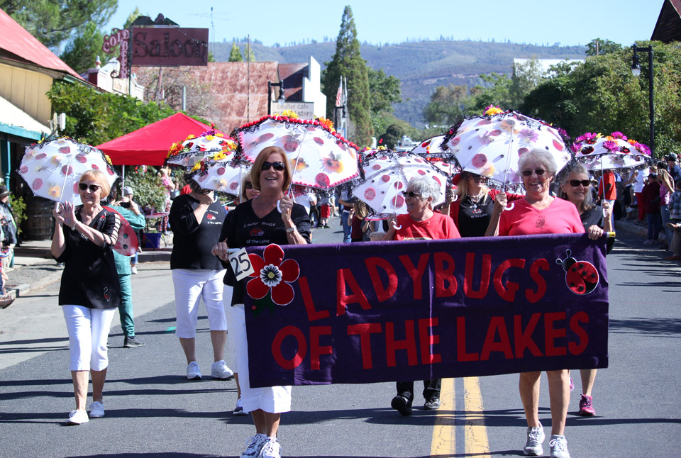 coyote fest 2017 1