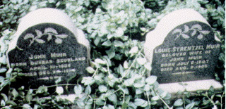 muir tombstones photo