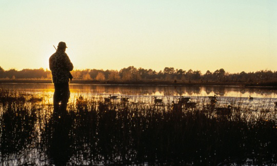 duck hunt pat hagan usfws photo