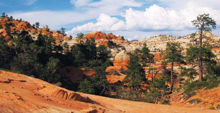 zion national park credit nps