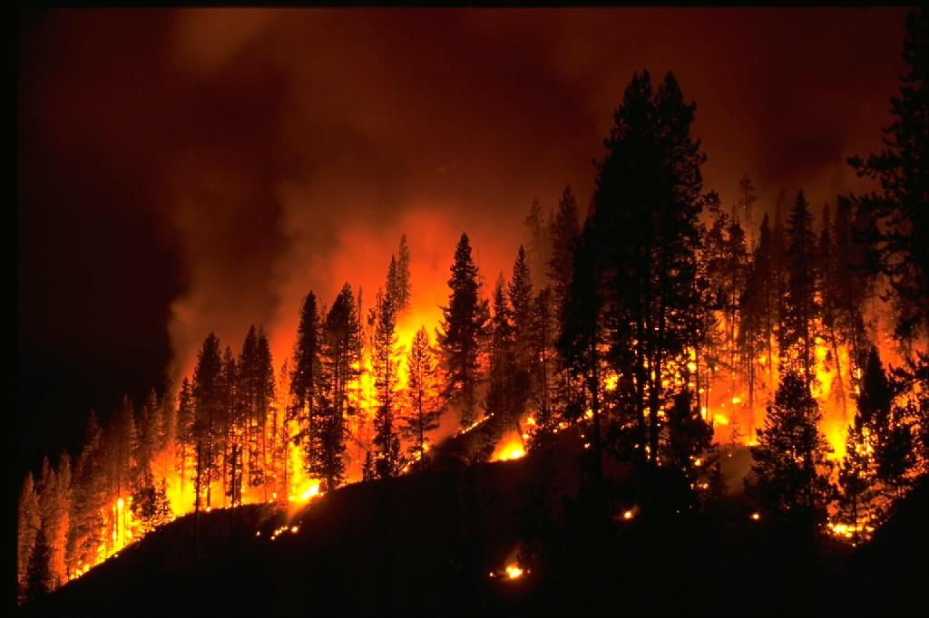wildfires NASA