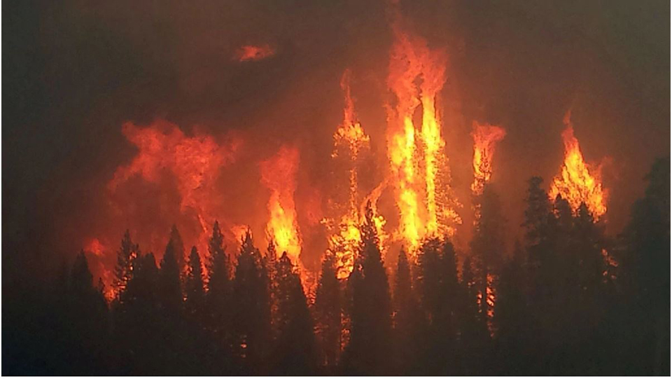 king fire 2014 credit usfs
