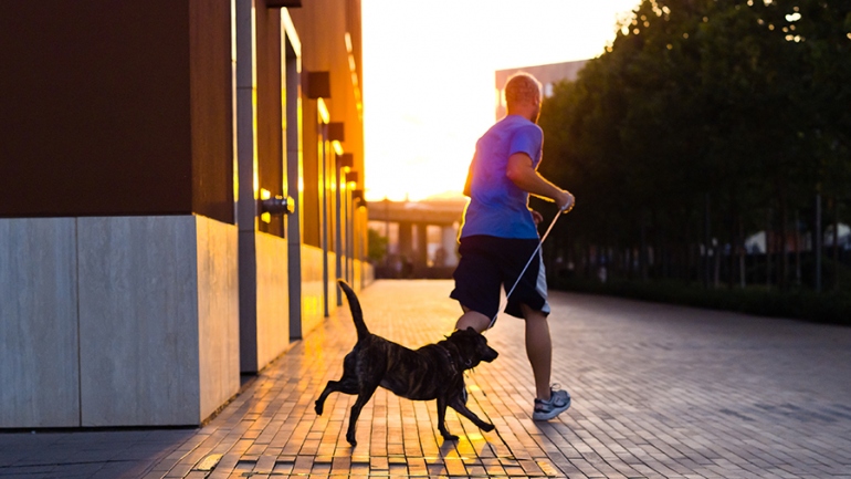 sun shining on man running with dog