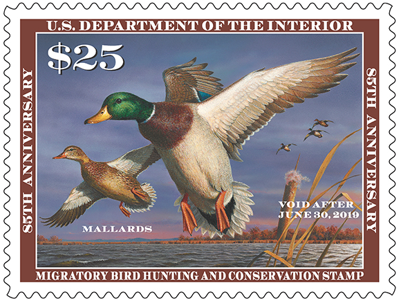 2018 2019DuckStamp1upcrop580