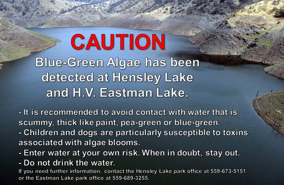 eastman lake hensley lake madera county algae bloom