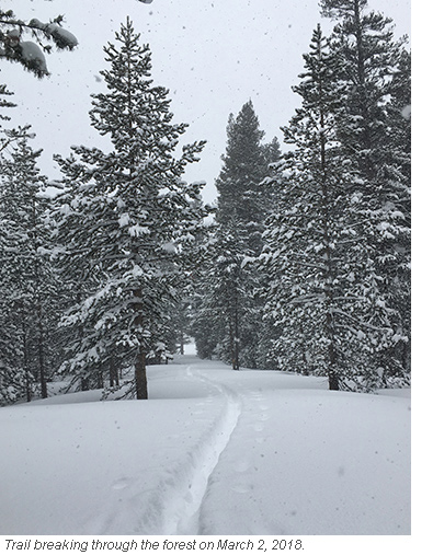 yosemite trail breaking blog 2 march 7