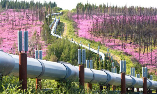 alaska pipeline blm photo craig mccaa